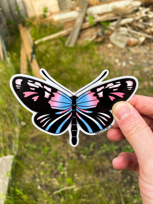 STICKER: Transgender Pride Butterfly